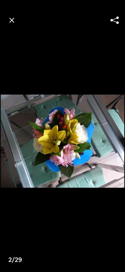 Baita Regina Apartment Turin Luaran gambar